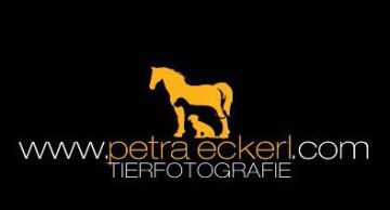 Tierfotogrfie, Petra Eckerl