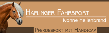 Haflinger Fahrsport, Ivonne Hellenbrand