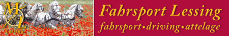 Fahrsport Lessing