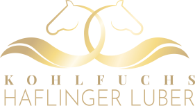 Haflinger Luber Logo Gold